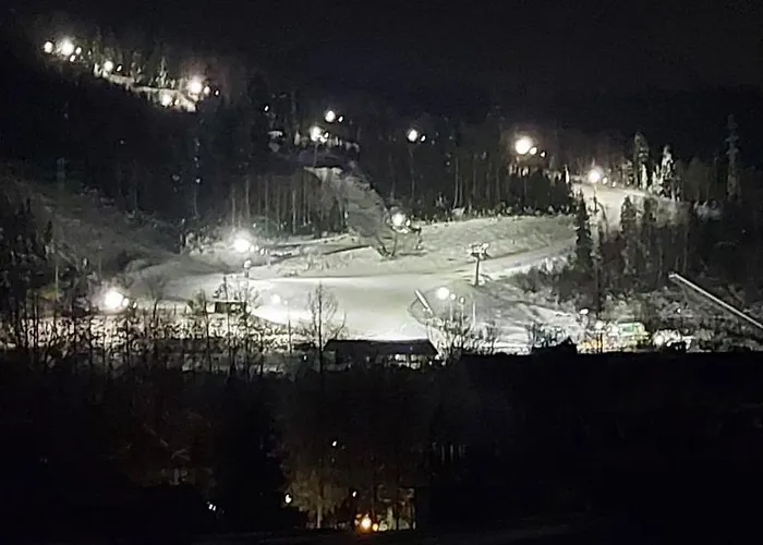 Апартаменты Willowa 21 *