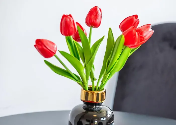 Apartament Willowa 21 Wisła